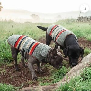 Pendleton Striped Dog Jacket